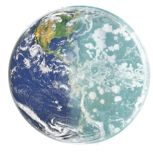 YUN Earth & Petri kopie YUN bacterial evolution petri dish