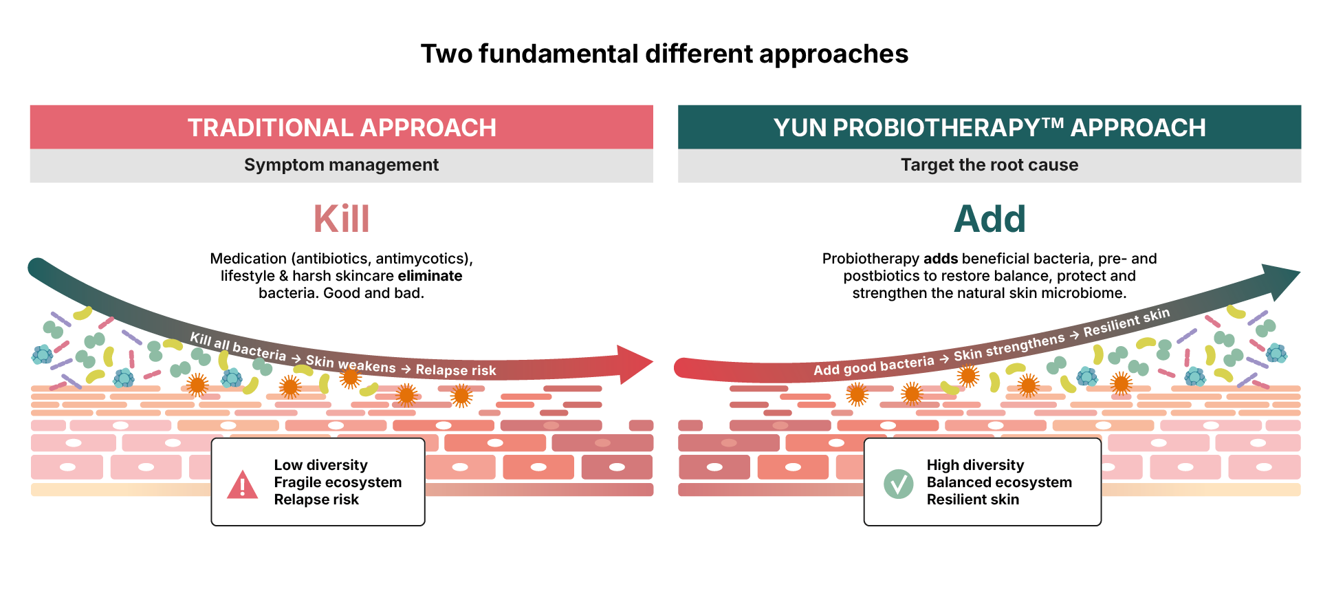 Kill vs add model l YUN Probiotherapy
